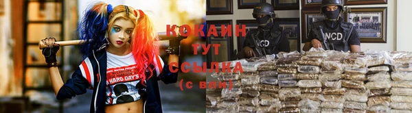 МДПВ Вязьма