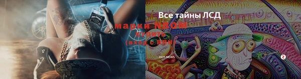 бутират Вяземский