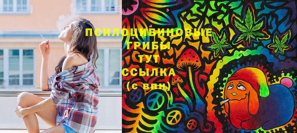 МДПВ Вязьма
