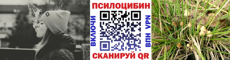 магазин продажи наркотиков Пятигорск OMG как войти Псилоцибиновые грибы GOLDEN TEACHER